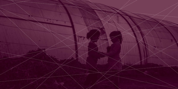 Monthly Trends Analysis